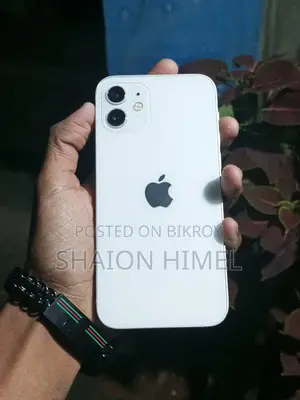 Apple iPhone 12 (Used)