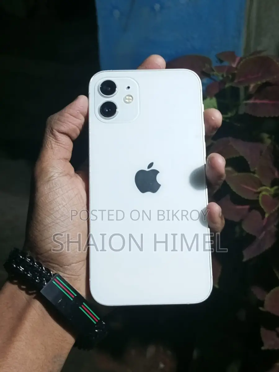 Apple iPhone 12 (Used)