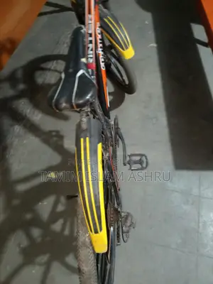 Beautiful and Well-Brake Bicycle for Sale