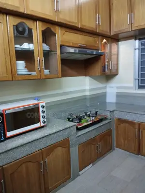 Full Furnished Apartment For Rent In Baridhara