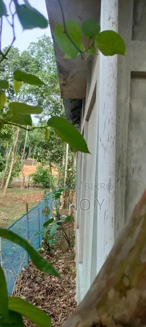 Village House for Sale