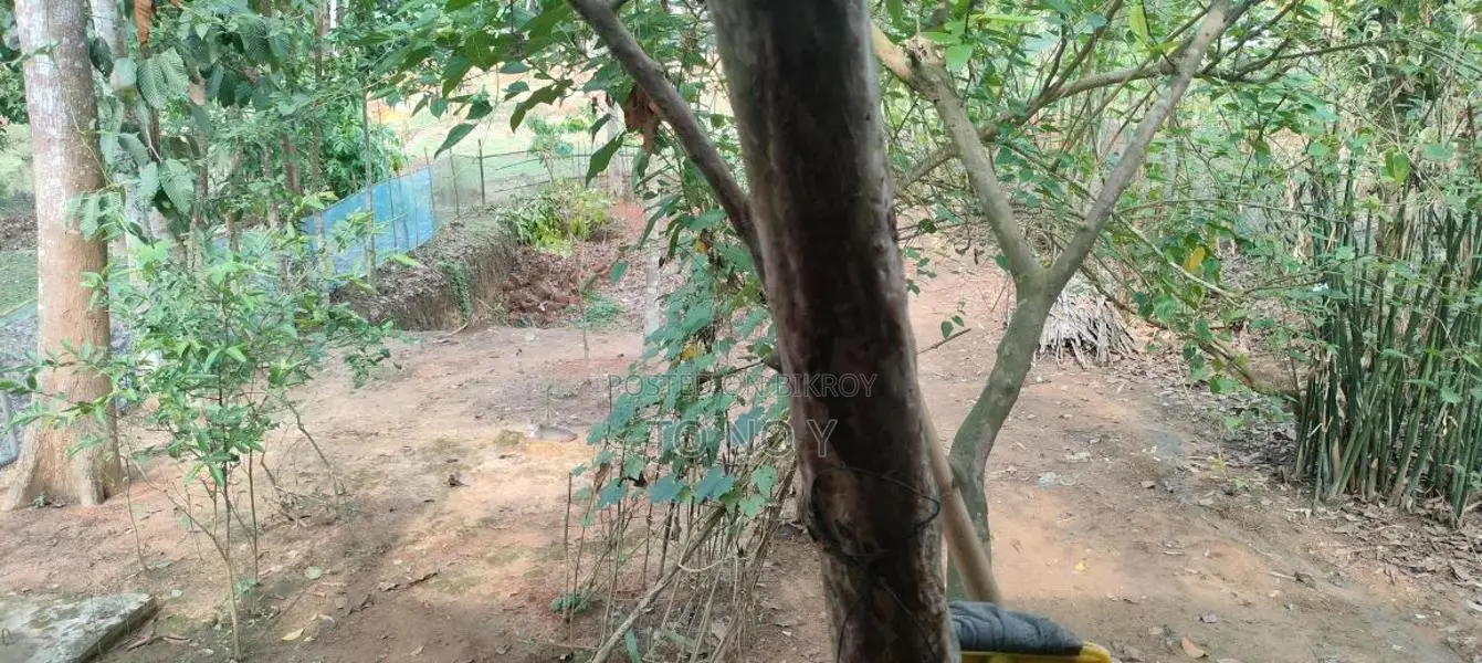 Village House for Sale