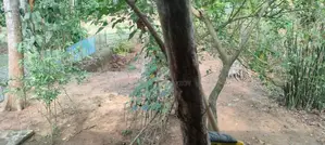 Village House for Sale