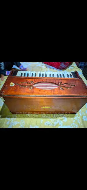 Harmonium, Organ