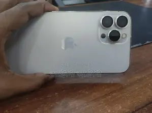 Apple iPhone 13 Pro Max (Used)