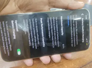 Apple iPhone 13 Pro Max (Used)