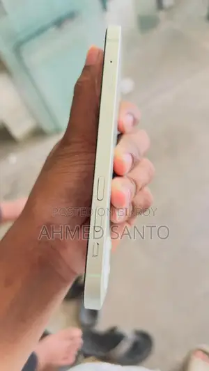 Apple iPhone 12 (Used)
