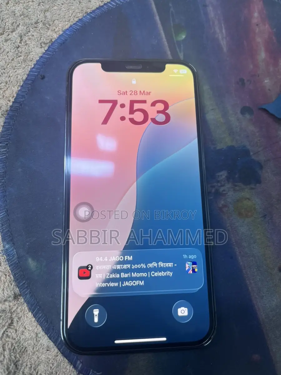 Apple iPhone 12 Pro (Used)