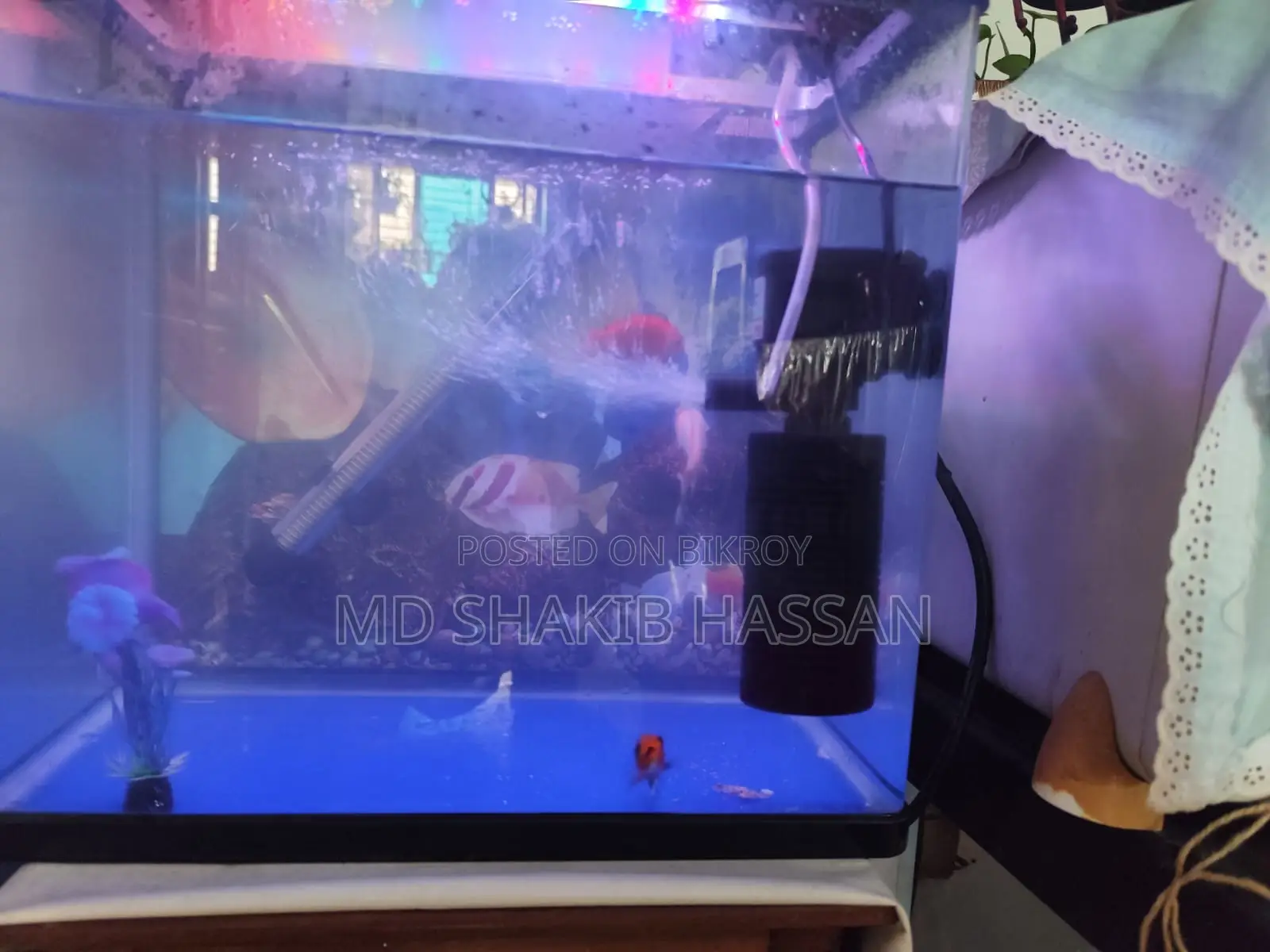 16:9 Widescreen Chinese Aquarium
