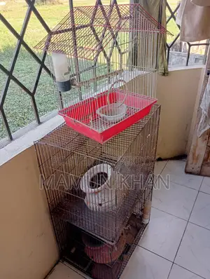 খাঁচা বিক্রি হবে