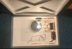 সেমি আটো ৪০,৬০, ৮০ ডিমের ইনকিউবেটর