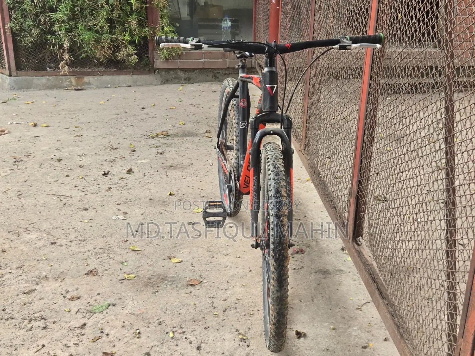 Veloce Outrage 600 (ভালো কন্ডিশন)