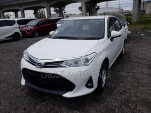 Toyota Axio EX, NON-HYBRID 2020