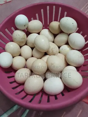 দেশি মুরগির ডিম