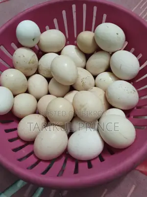 দেশি মুরগির ডিম
