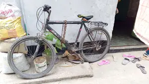 Bicycle for sale