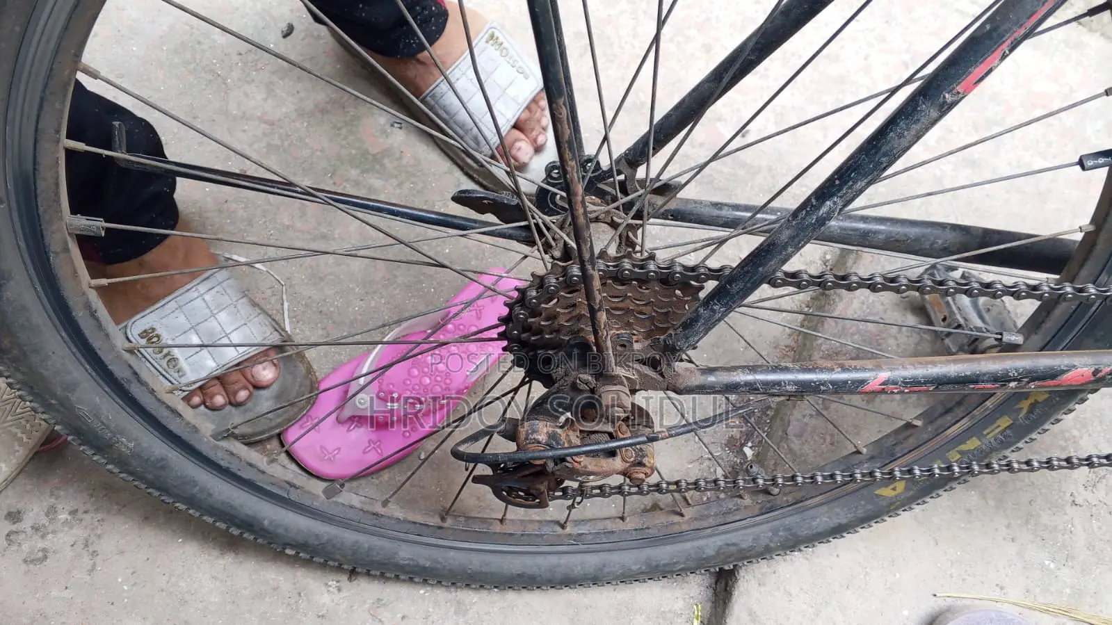 Bicycle for sale