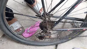 Bicycle for sale