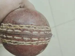 ফিক্সড প্রাইজে দুইটি ক্রিকেট বল বিক্রয় করা হবে