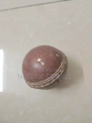 ফিক্সড প্রাইজে দুইটি ক্রিকেট বল বিক্রয় করা হবে