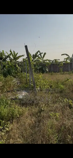 এক বিঘা ঘরসহ জায়গা ভাড়া দেওয়া হবে