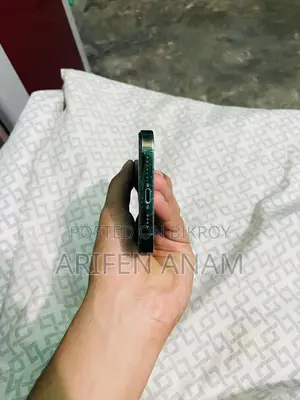 Apple iPhone 13 Pro Max (Used)
