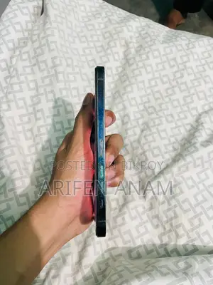 Apple iPhone 13 Pro Max (Used)