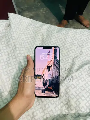 Apple iPhone 13 Pro Max (Used)