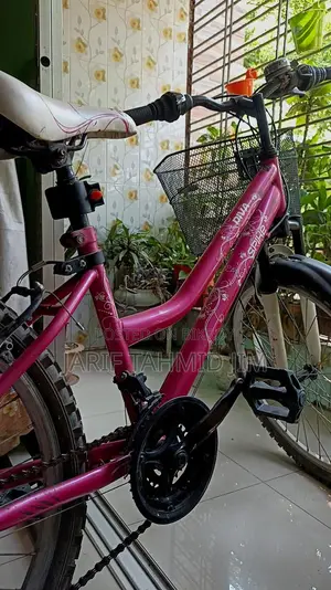 বাইসাইকেল বিক্রয়