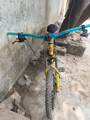 Cycle with Disc Brakes in Fresh Condition