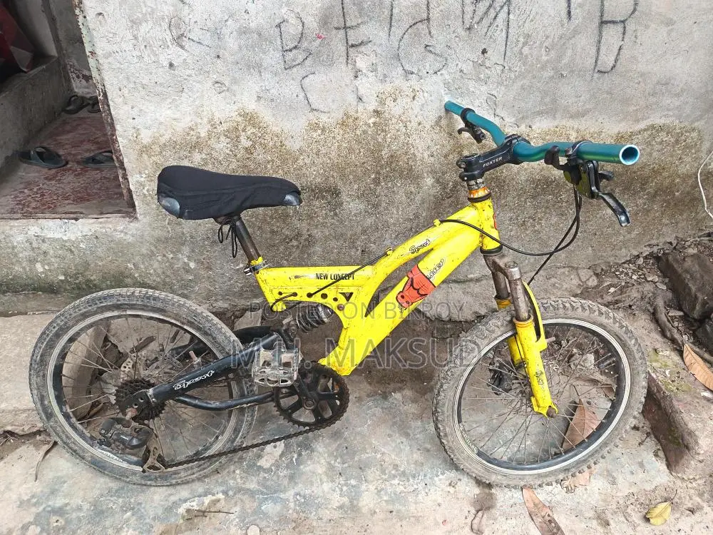 Cycle with Disc Brakes in Fresh Condition