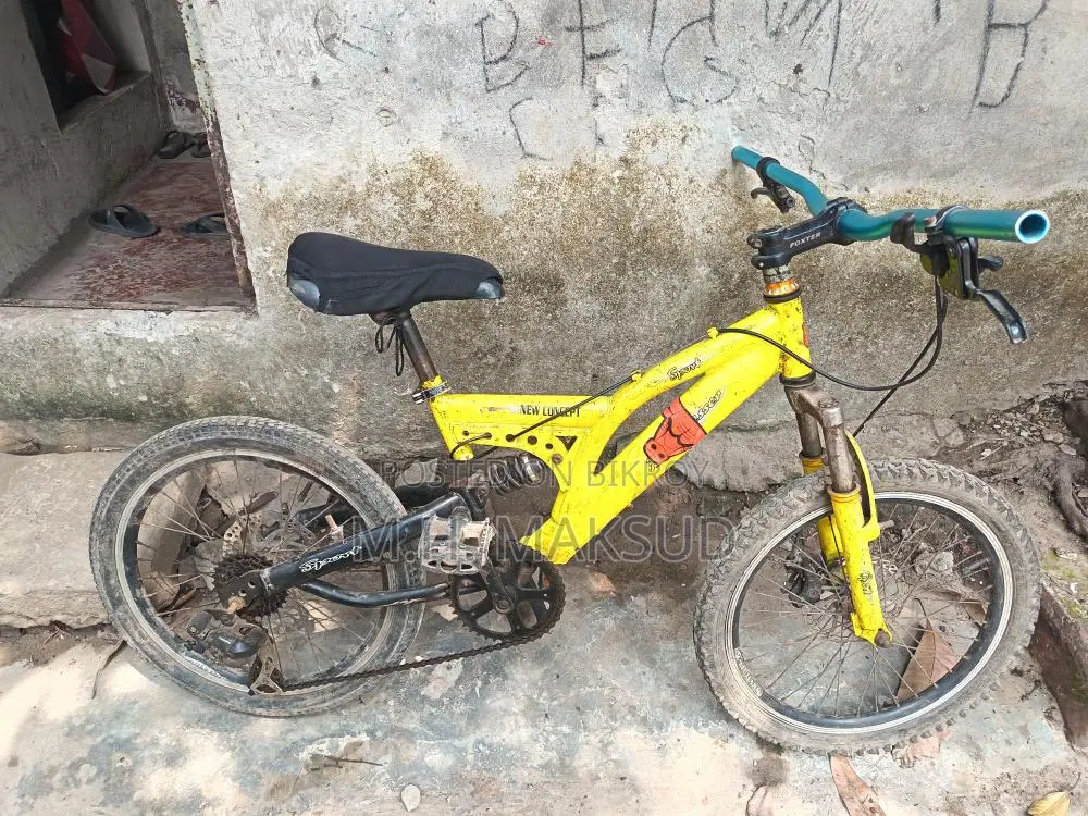 Cycle with Disc Brakes in Fresh Condition