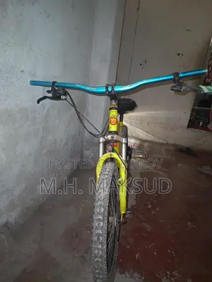 Cycle with Disc Brakes in Fresh Condition