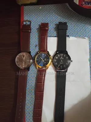 Titan Watch