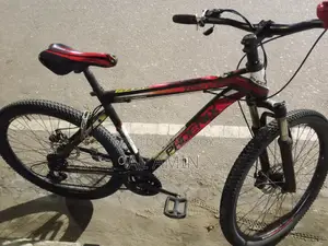 Phoenix Bicycle for sale