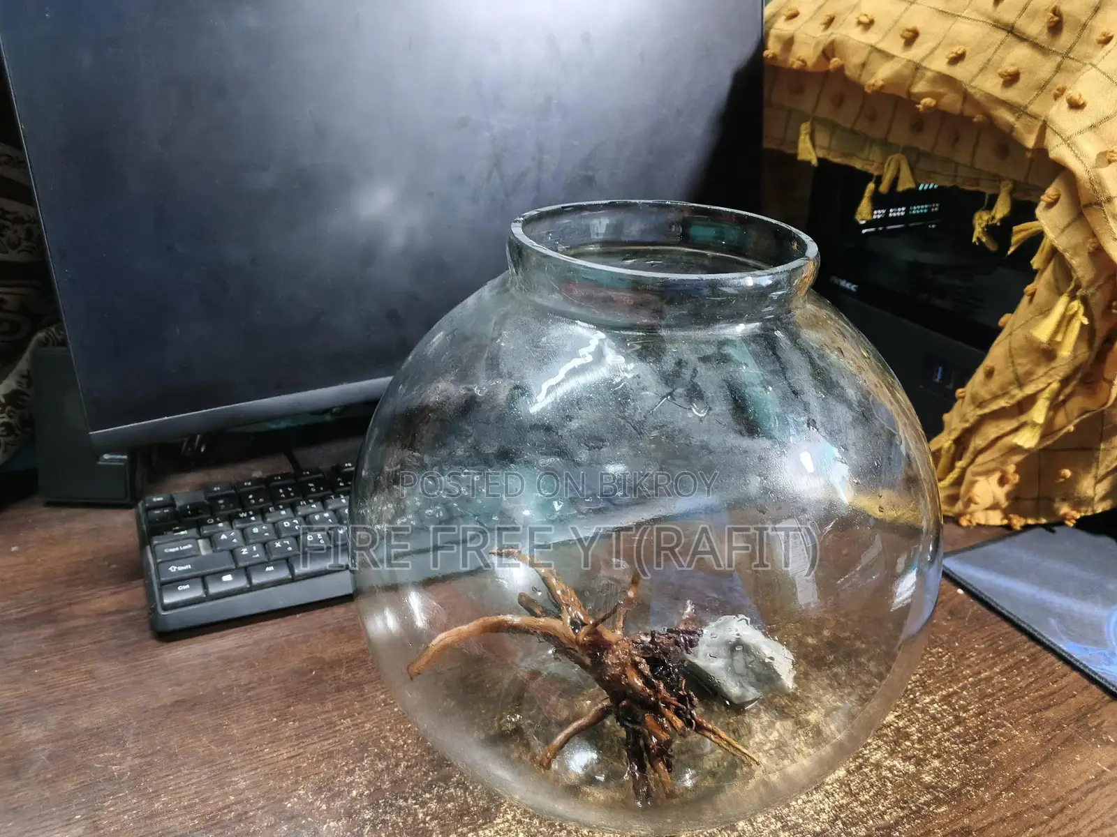 Aquarium Jar