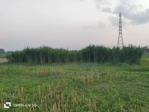 কৃষি জমি বিক্রি হবে – সুলভ মূল্যে!
