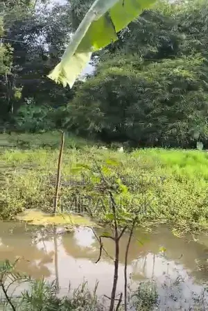 5 কাঠা জমি বিক্রয় হইবে