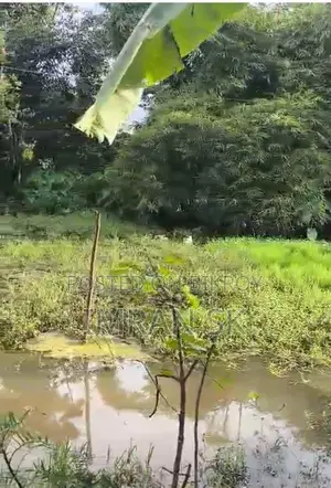 5 কাঠা জমি বিক্রয় হইবে