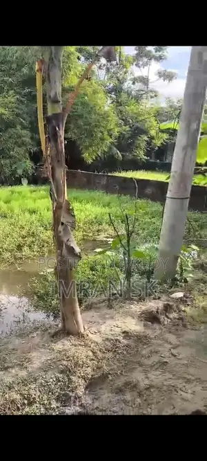 5 কাঠা জমি বিক্রয় হইবে