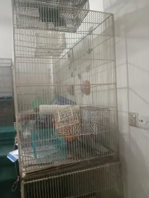 খাঁচা ও ব্লিডিং বক্স
