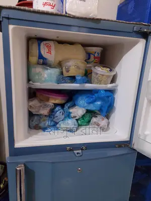 Toshiba Fridge