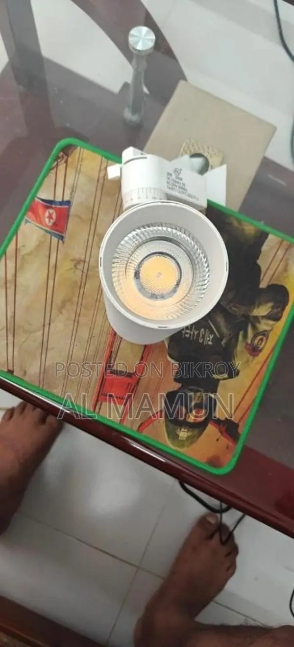 30-Watt Light
