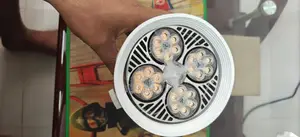 30-Watt Light