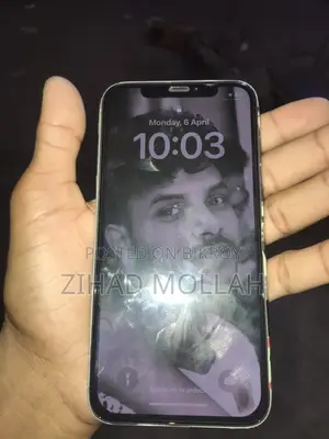 Apple iPhone X (Used)