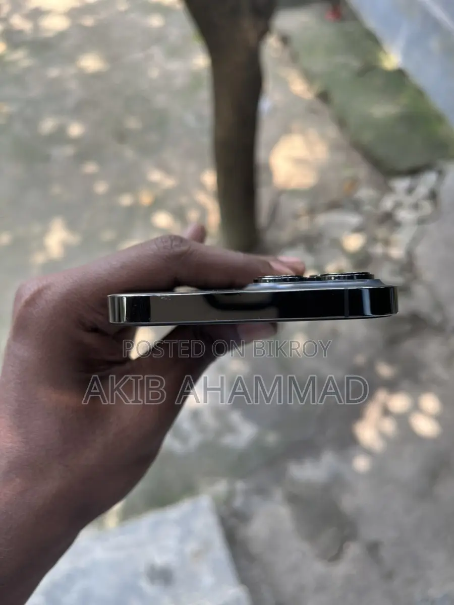 Apple iPhone 13 Pro Max (Used)