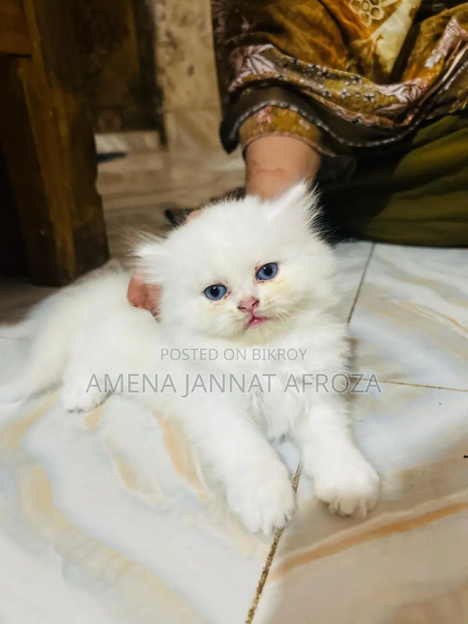 Traditional Parsiyan