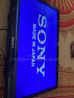 Sony 24” TV