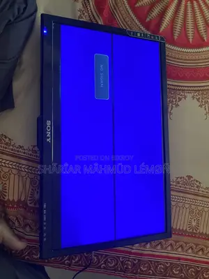 Sony 24” TV