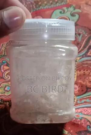 পাখির জন্য হ্যান্ডফিড